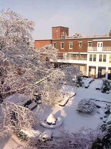 Winter wonderland